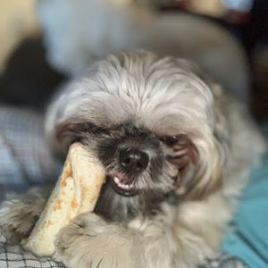 Meet your Posher, Tracey